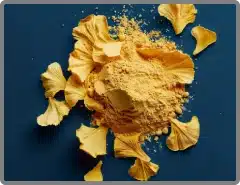 Ginkgo biloba powder for antioxidant support